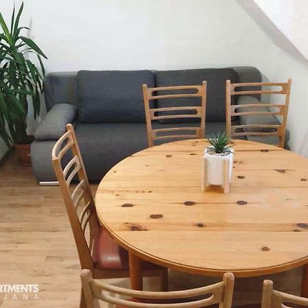 Huge Bbq Garden 2, Spacious Flat, Ac, Free Parking 2 Ljubljana Exterior photo